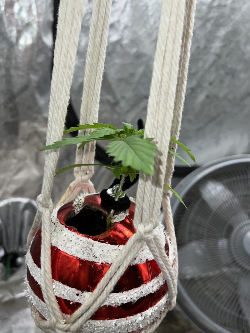 7F2AF3C4-AA7D-4EDB-BFD6-6747F72B9D88