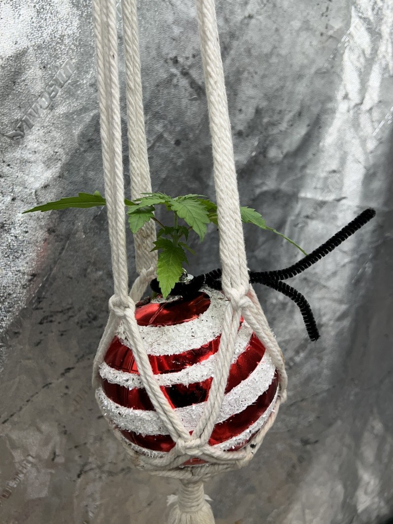 1F49C6DC-690C-4677-9F41-5A7E46AE00F7