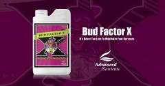 Bud Factor X