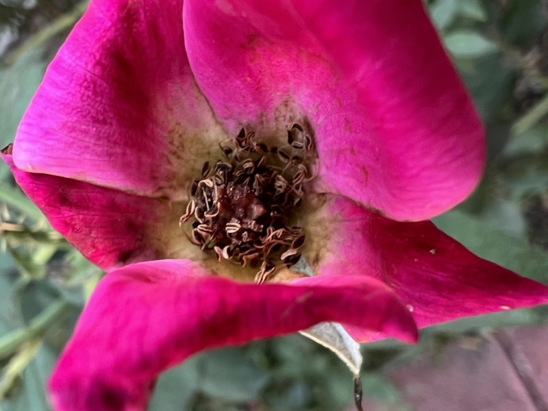 2F586B5F-D7E5-4C31-8E68-B7ED8A1B577A