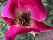 2F586B5F-D7E5-4C31-8E68-B7ED8A1B577A