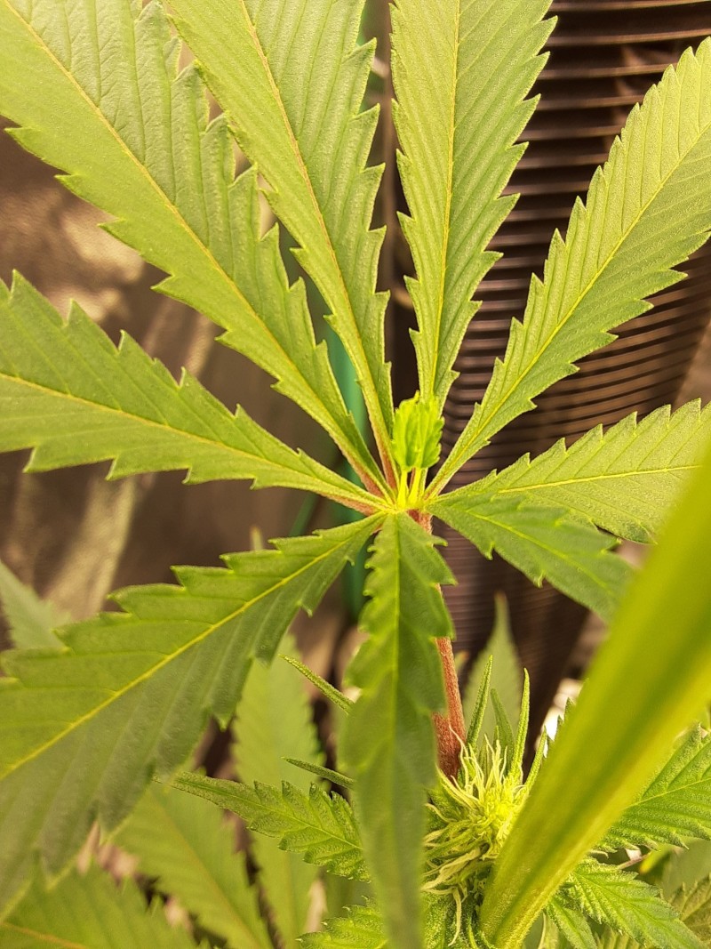 20221017_150054 - Copy