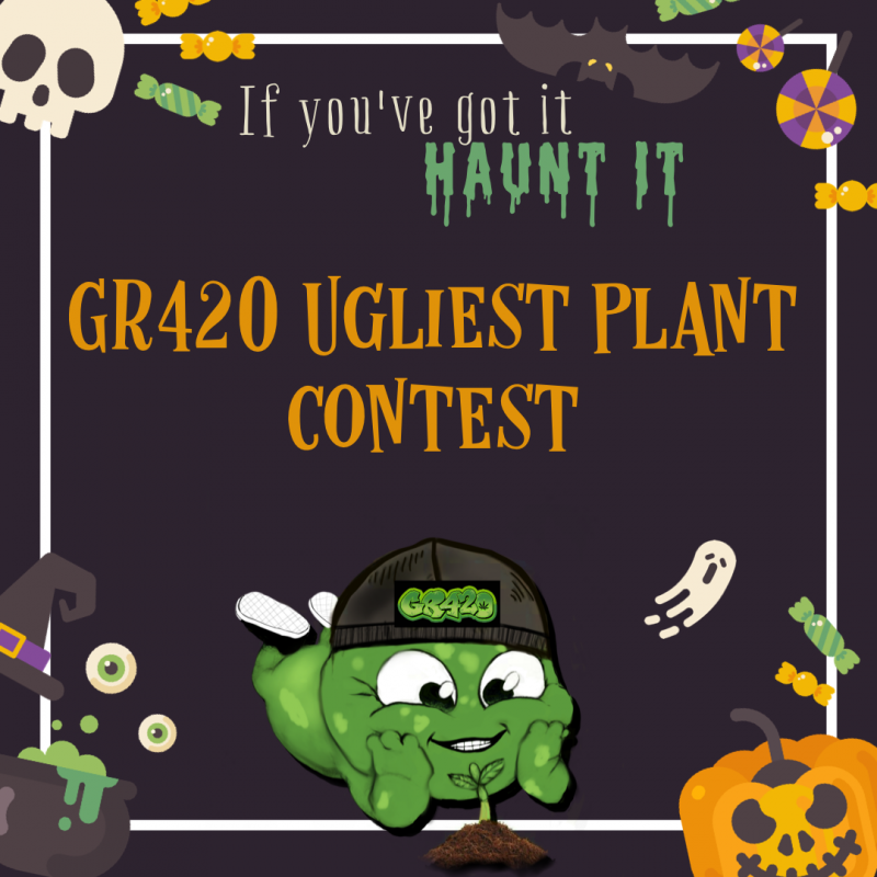 678D7E03-D888-4AEB-9780-A70488C06B95