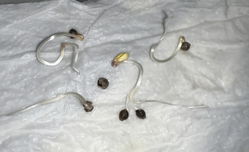 DBD5F80F-6F56-4C20-890C-70B194152090