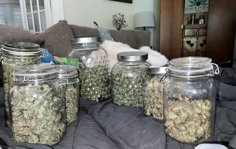 8BAD69BE-1529-44C7-A49E-C0B0C9E05C61