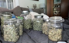 8BAD69BE-1529-44C7-A49E-C0B0C9E05C61