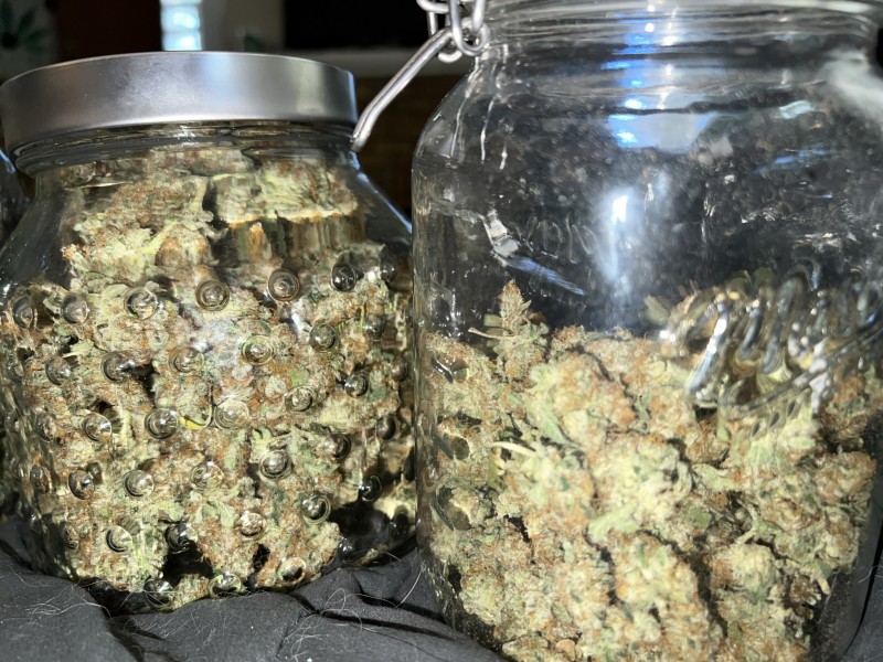 28CC4982-3944-4196-B08E-0E2DFD5D86BD