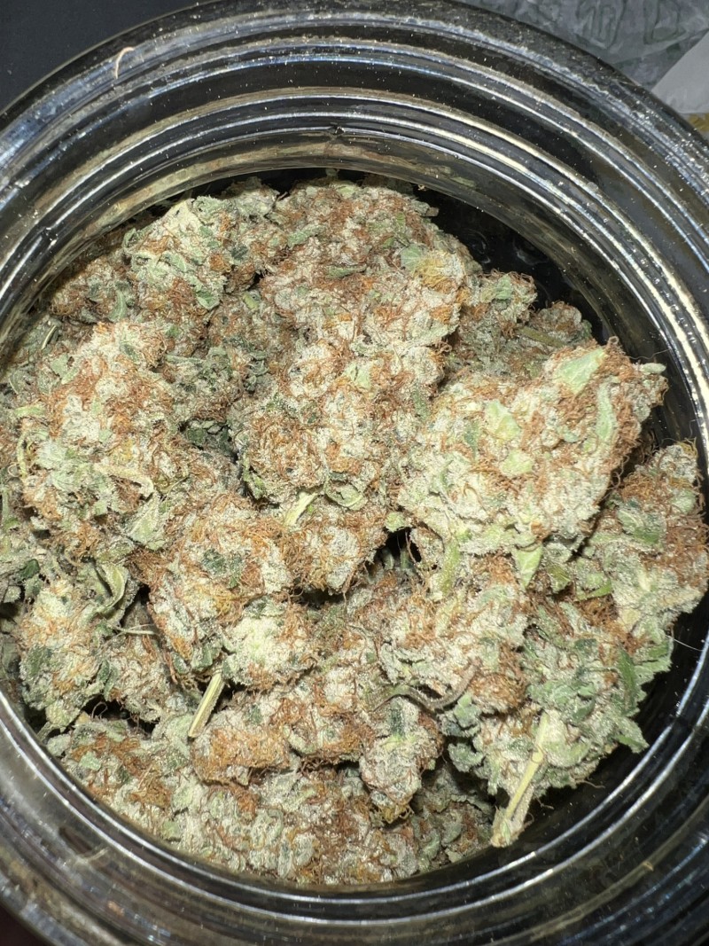 66E451B2-5C5B-4DD9-8776-203E987B4DA6