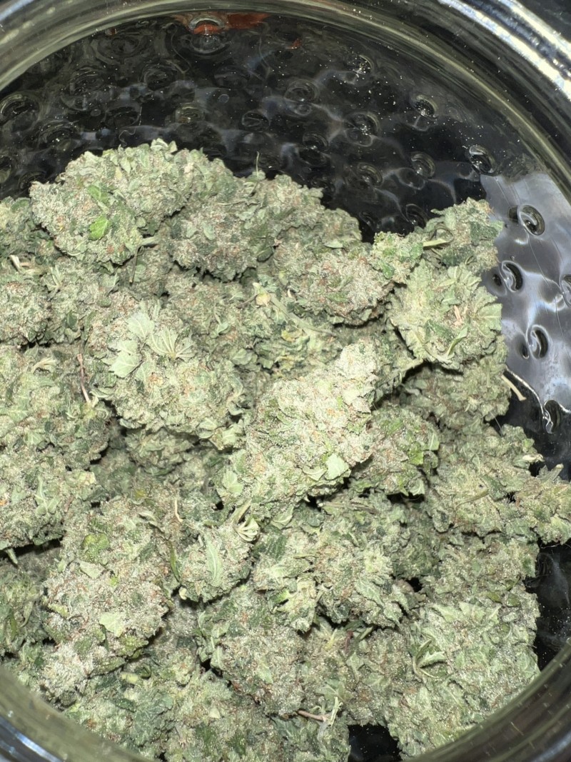 12A5106A-BBE1-4835-8E5B-C788D3EF47BC