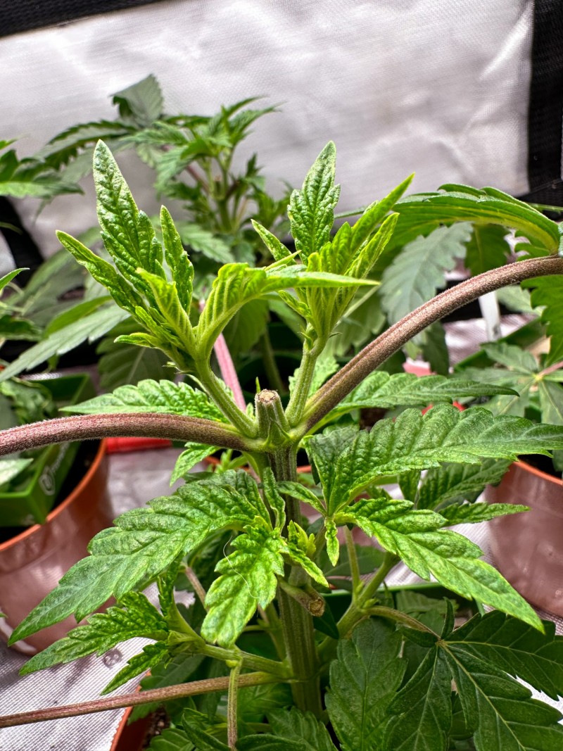 F5273BE4-74D4-4204-B8C4-FA1BBAC9FB09