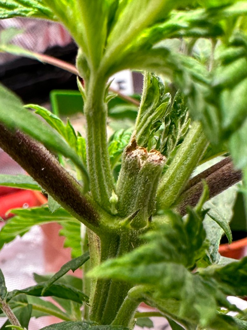 B33E1E8B-EC1D-4404-93B6-B052A13345D9