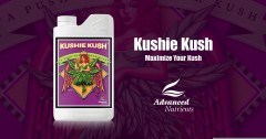 kushie-kush-1200x630