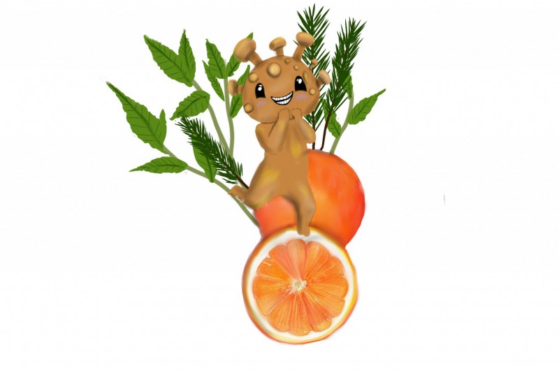 8DE8C89A-6D4C-4697-AACF-EC7CFA2B66B3