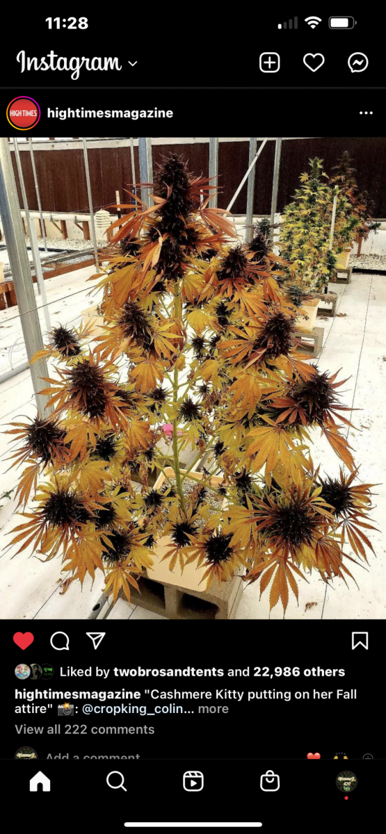 40E1DFF1-AB6A-4502-BB47-9A028CDD5A7A