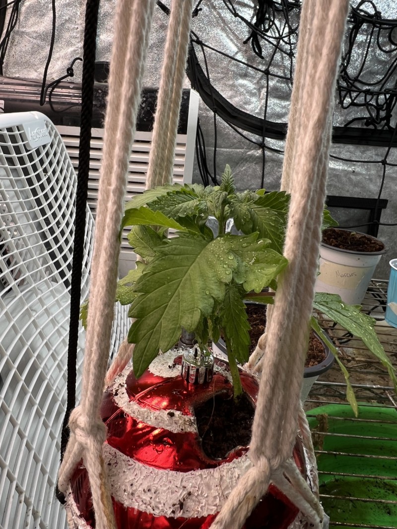 4A3720F3-FBBB-4332-BE74-FCF4750DA70F