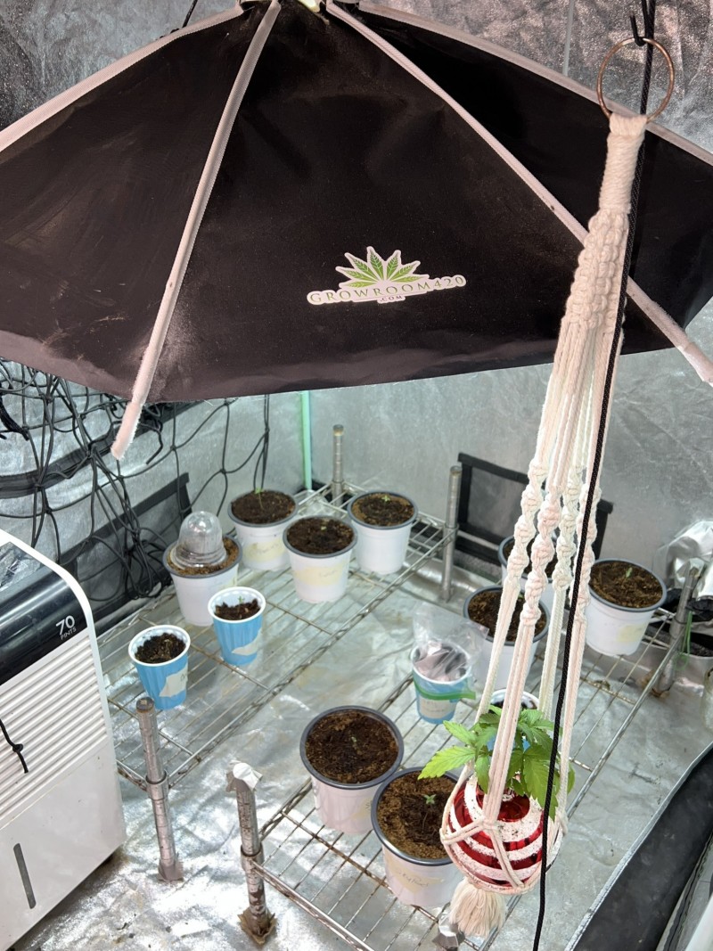 5867ECF3-45D5-469D-81BC-31C2C728B17B