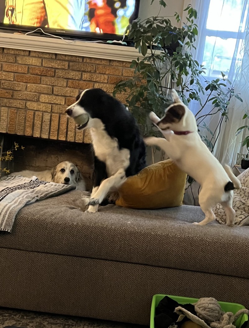 677A6EDA-A518-4C05-AC75-5F77DE658D66