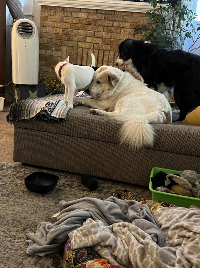 1DCC201F-EACD-48E7-B2BF-9A4AE5BF0AA7