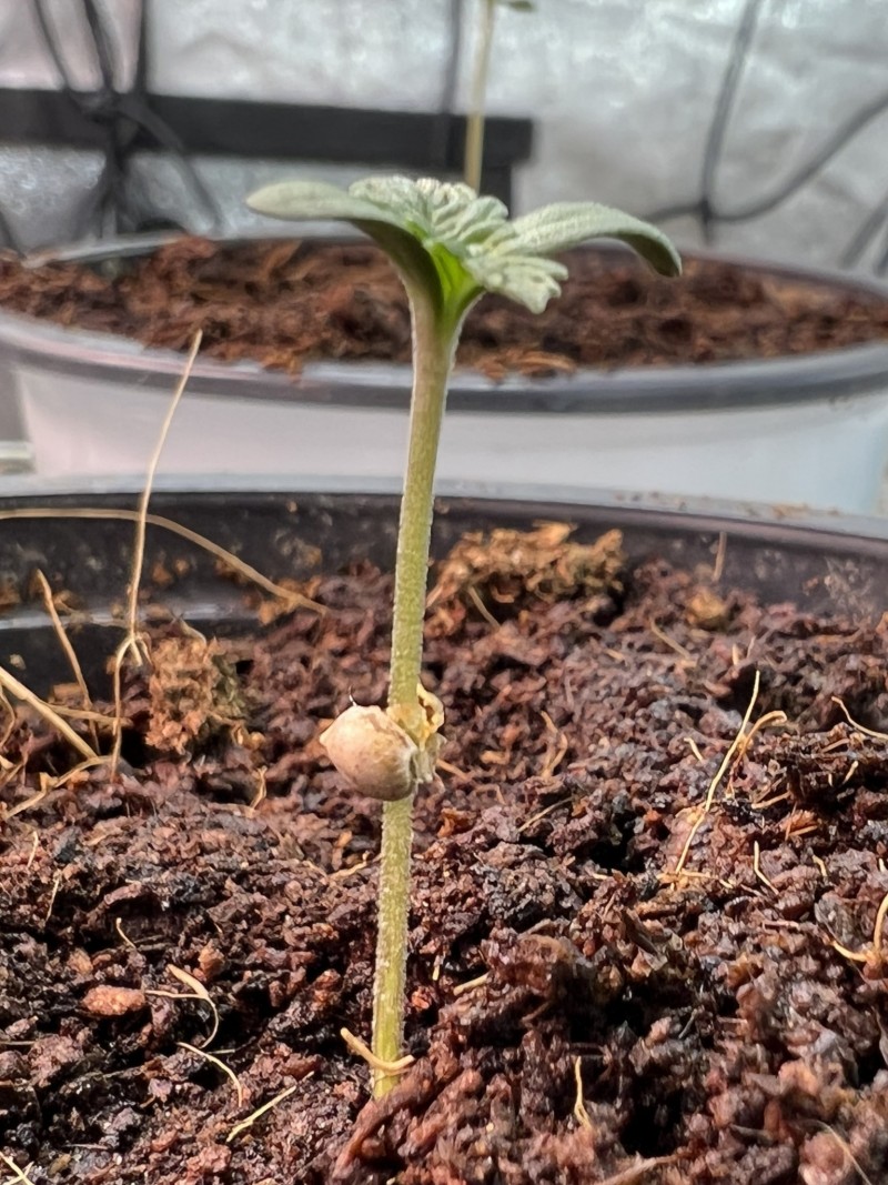 B327EA11-95CC-49FC-810C-5F29EC188D4B