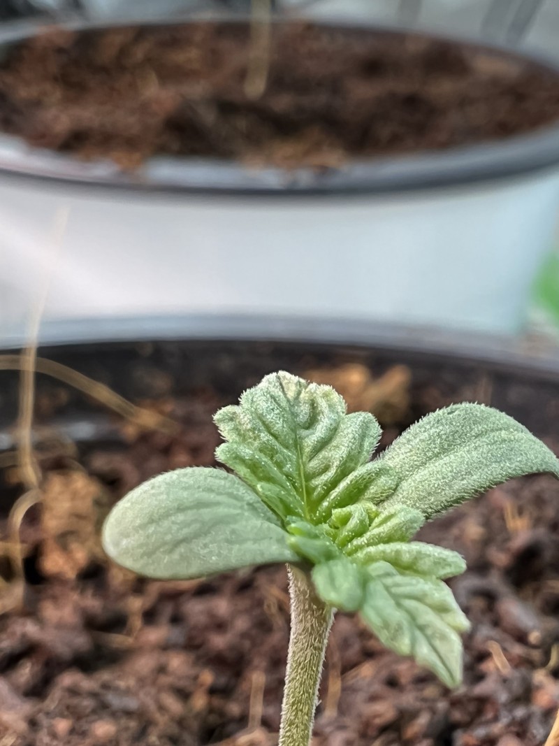 03E7DE1F-31AC-48B2-8A58-83FFE5D9B690