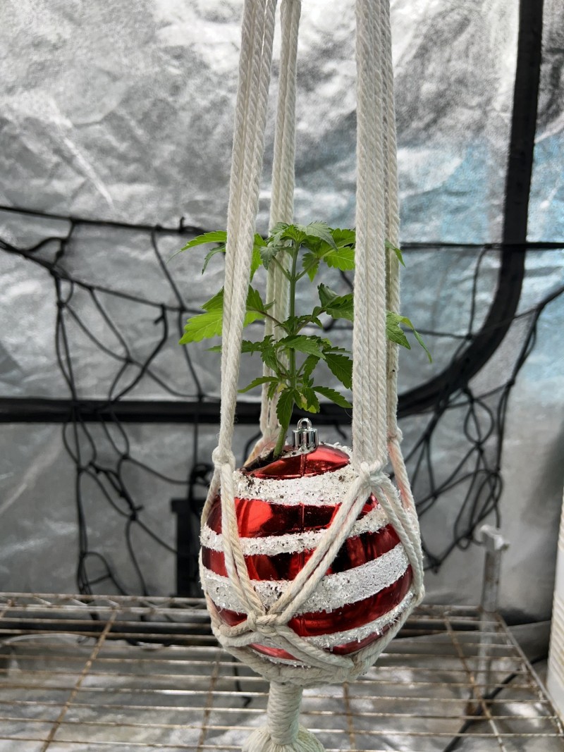 2106732E-8BF0-44CB-BCF9-9AAAC5012AB7