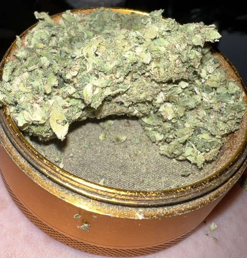 626A985F-8559-4223-8F96-DE748590A180