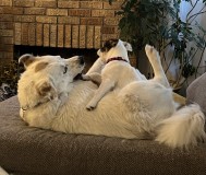 256E2A8F-9FD9-457B-A08D-AF36F98A6DD2