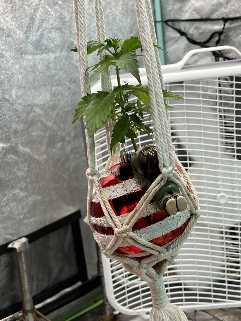 F7CA6246-41C8-49E8-ACF0-781568F5D218