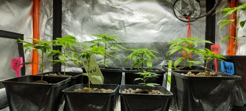 IMG_20221025_201312942_HDR