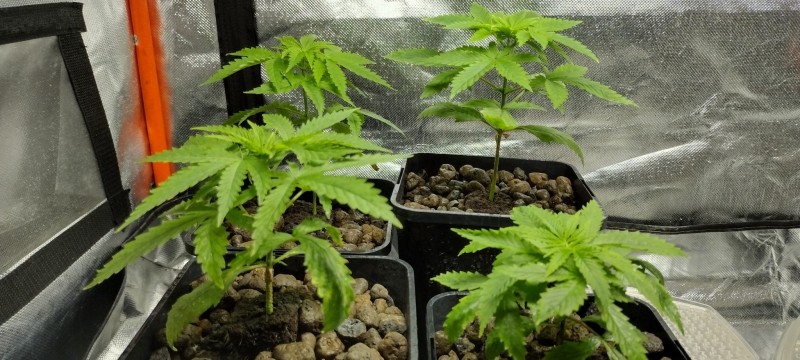 IMG_20221025_201205541_HDR