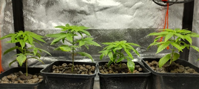 IMG_20221025_201144176_HDR