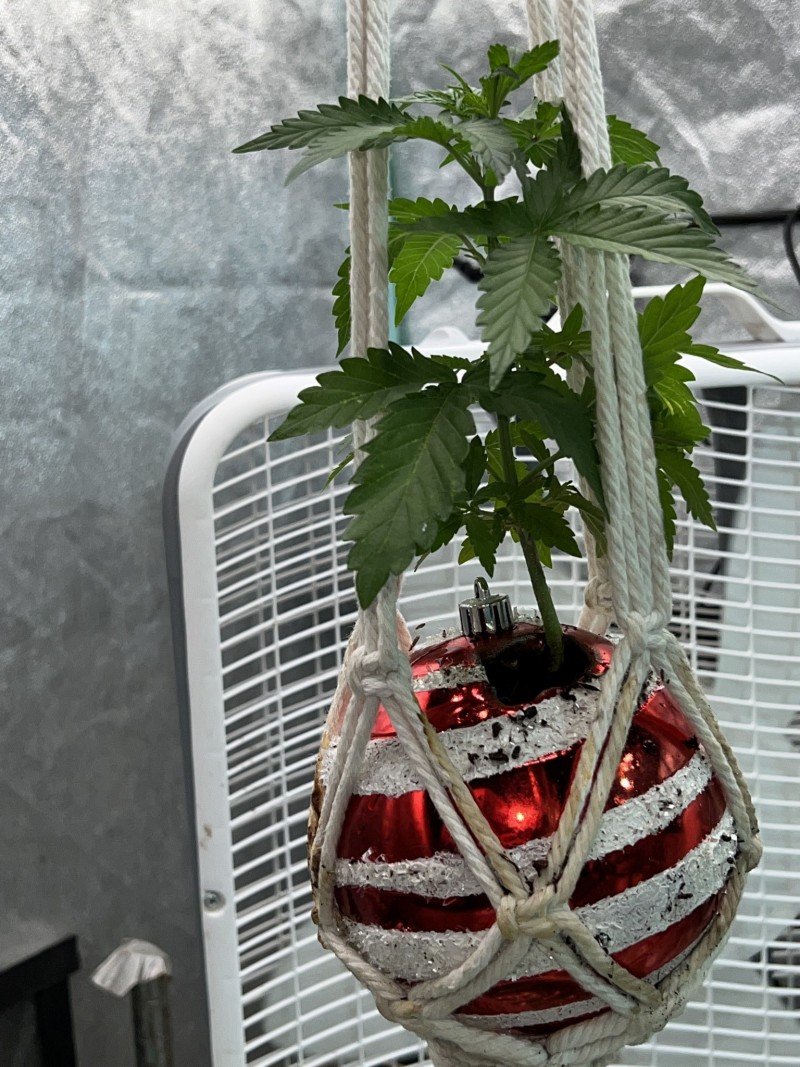 0C63994B-A328-4722-9979-1625BE24C065