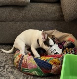 7845FA11-3DF9-4086-BF98-F8764996713B