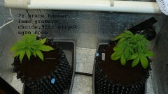 refit and bruce 26 10 22 005