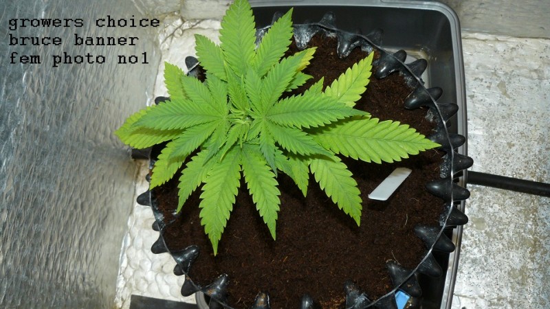 refit and bruce 26 10 22 006