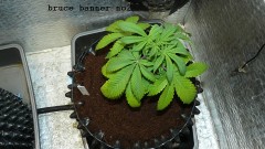 refit and bruce 26 10 22 007