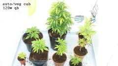 refit and bruce 26 10 22 010