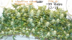 refit and bruce 26 10 22 011