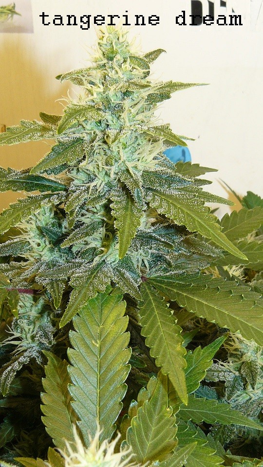 refit and bruce 26 10 22 013