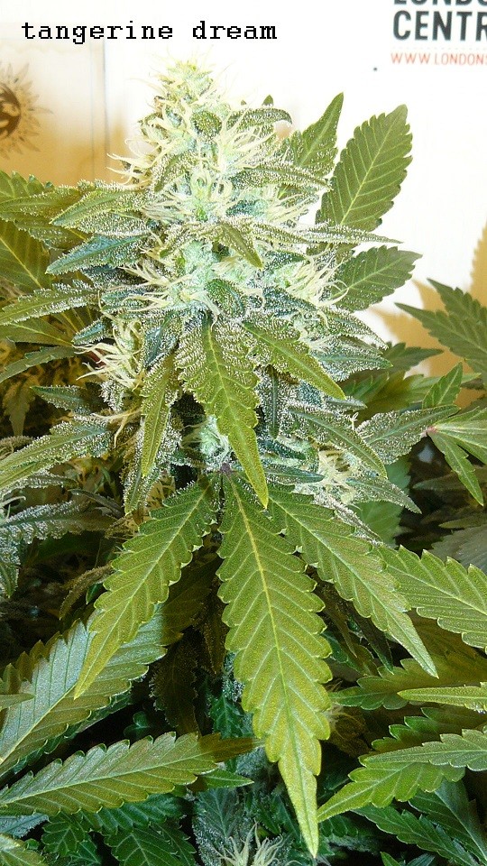 refit and bruce 26 10 22 015