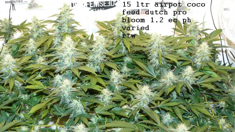 refit and bruce 26 10 22 018