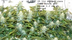 refit and bruce 26 10 22 018