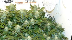 refit and bruce 26 10 22 019