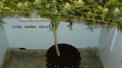 refit and bruce 26 10 22 020