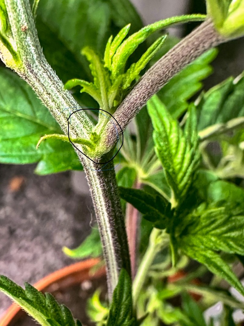 5E1DAFA6-618E-4669-B129-6E4DDCBAB0CB