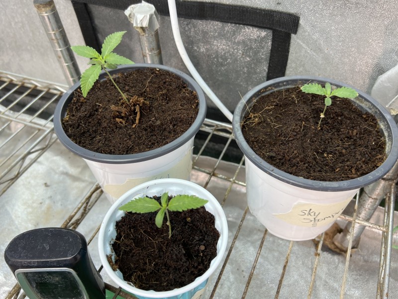 742FFE0E-D1B4-43C5-BBA7-32A66FD3B656