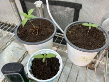 742FFE0E-D1B4-43C5-BBA7-32A66FD3B656