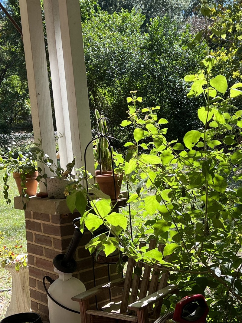 43704F95-A889-4391-9B80-333A14B983DB