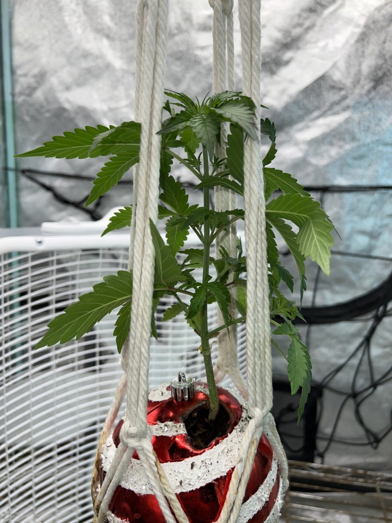 F2D25490-DA25-40A5-ABC1-FAB097DB1E3C