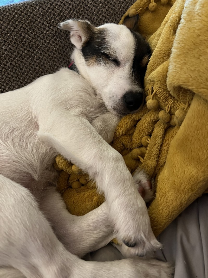 6F72A5FF-17B7-4E6F-9CA0-7921301DB3A8